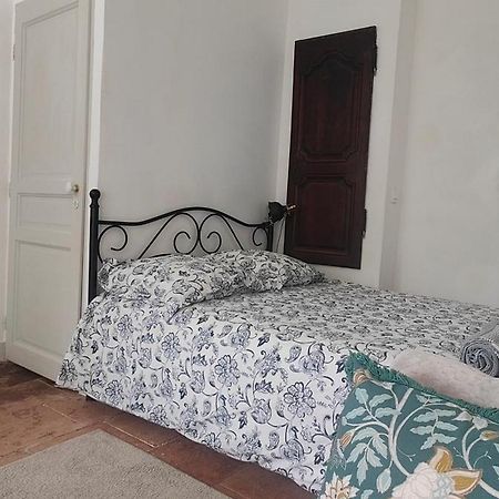 Studio Avec Jardin A 10 Mn A Pied Du Centre Ville Тулуза Екстериор снимка
